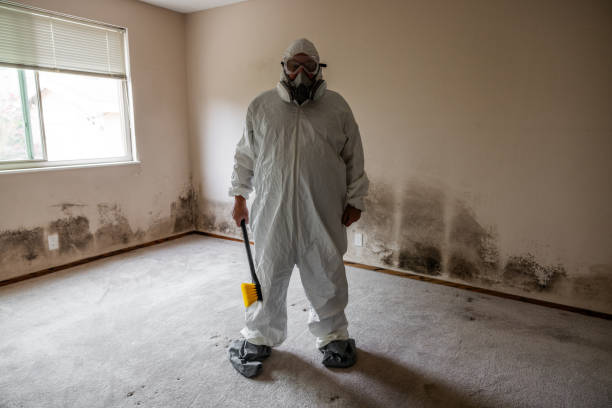 Attic Mold Removal in Tenaha, TX